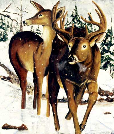 Deer in the Snow Painting of two deer standing in the snow